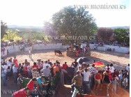 Suelta de toros