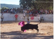 Suelta de toros