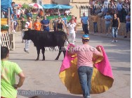 Suelta de toros