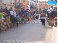 Suelta de vacas y novillos