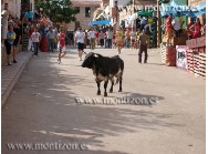 Suelta de vacas y novillos