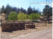 Zona de barbacoa, pantano El Dañador